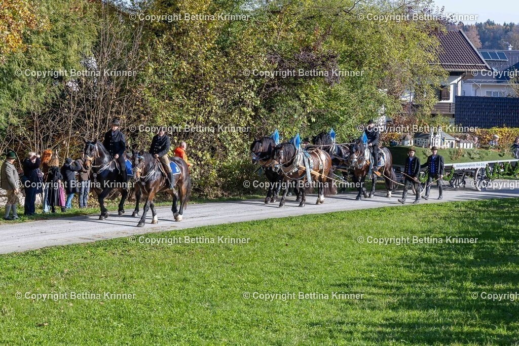 LBT24-861 | foto-bettina-krinner - Realisiert mit Pictrs.com