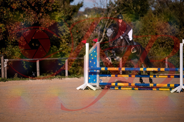 2026_10_03_Siefer-Hof_171914_Z81_17328672 | Professionelle Reitsport-, Turnier- und Eventfotografie von Robert Broda. Galerien mit ausgewählten und bearbeiteten Bildern direkt online ansehen und bestellen.