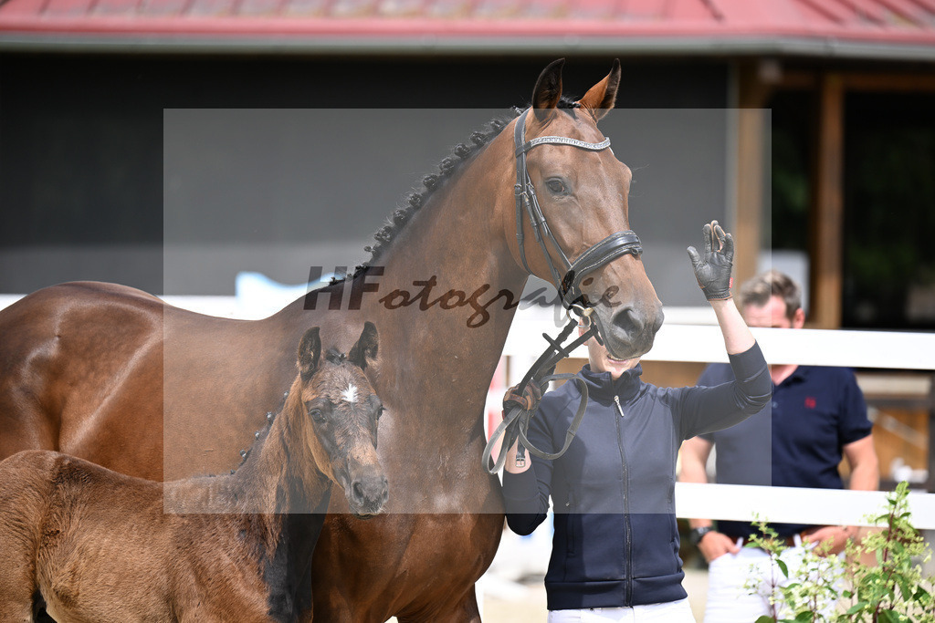 Kat-Nr. 4 Bonhoeffer x Danone_Zweckl_25240217 | hf-fotografie - Realisiert mit Pictrs.com