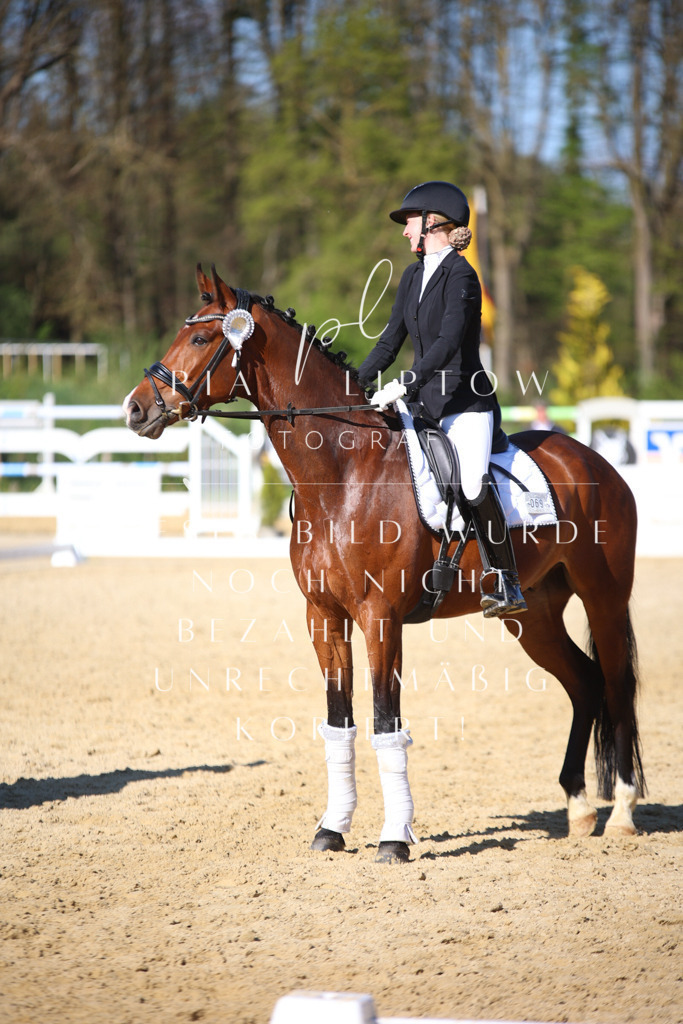 IMGT9128 | pl-fotografie