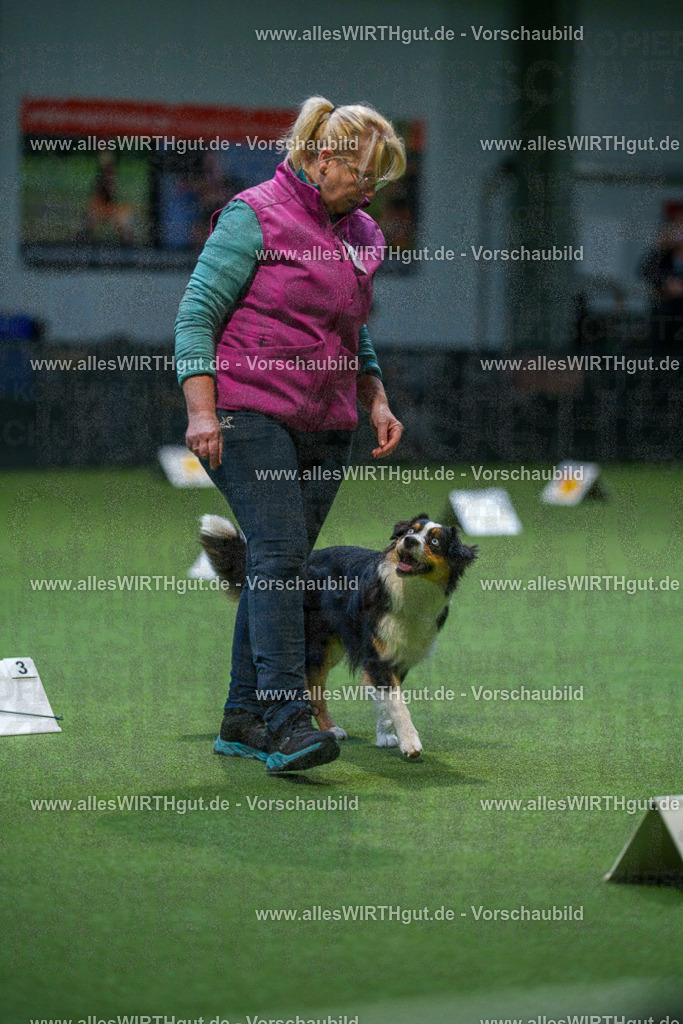 7R501072 | Professionelle Tierfotografie in Mönchengladbach von Daniel Wirth (allesWIRTHgut). Liebevolle & natürliche Bilder von Hunden & Katzen für unvergessliche Erinnerungen.