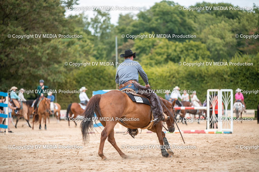 ZS2_8480 | dv-media-shop - Realisiert mit Pictrs.com