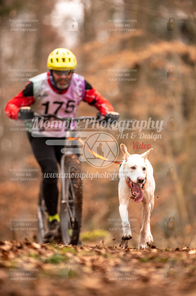 AKM_ST_2023_SAM_Scooter-50 | PayLife
