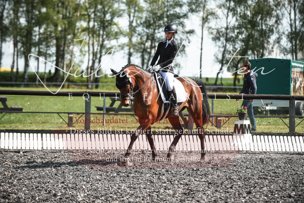 DSC_8915 | Pferde- und Turnierfotografie in Westsachsen. Pferdeportraits, Auftragszeichnungen und intuitive Kunst.