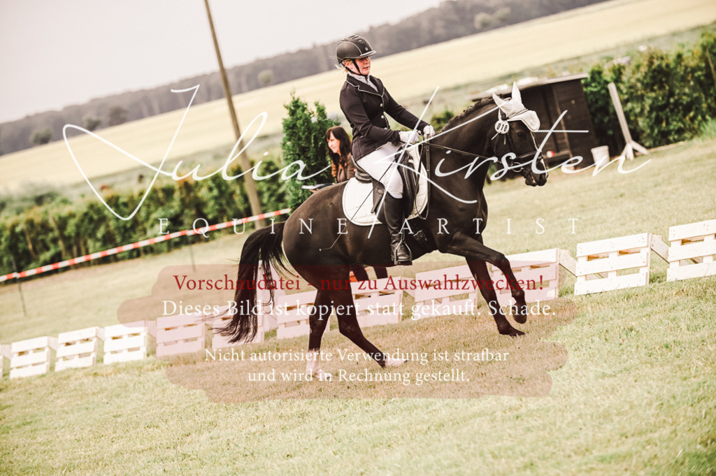 DSC_4862 | Pferde- und Turnierfotografie in Westsachsen. Pferdeportraits, Auftragszeichnungen und intuitive Kunst.