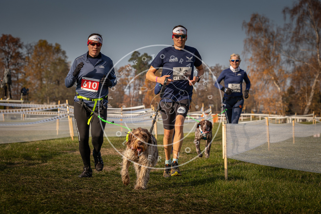 CaniXpix_0L8A0156 | Hundefotografie, Tierfotograf, Pfotenfotografie, Fotoshooting Hund, Hunde Portrait, Hundesport, Hundeportraits, Heideshooting, Hunde, Sportfotograf, Hundefotograf, Turnierhundsport, THS,  - Realisiert mit Pictrs.com