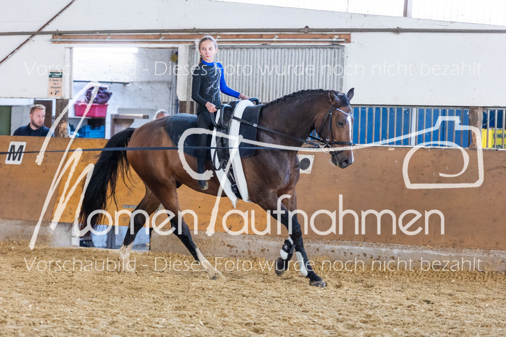 VTD-Voltigierpferde-070 | MomenTaufnahmen Pferdesportfotos