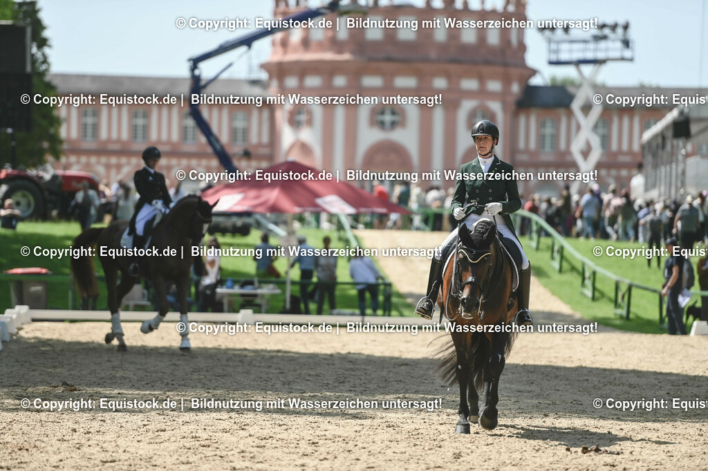 D78_2927 | equistock