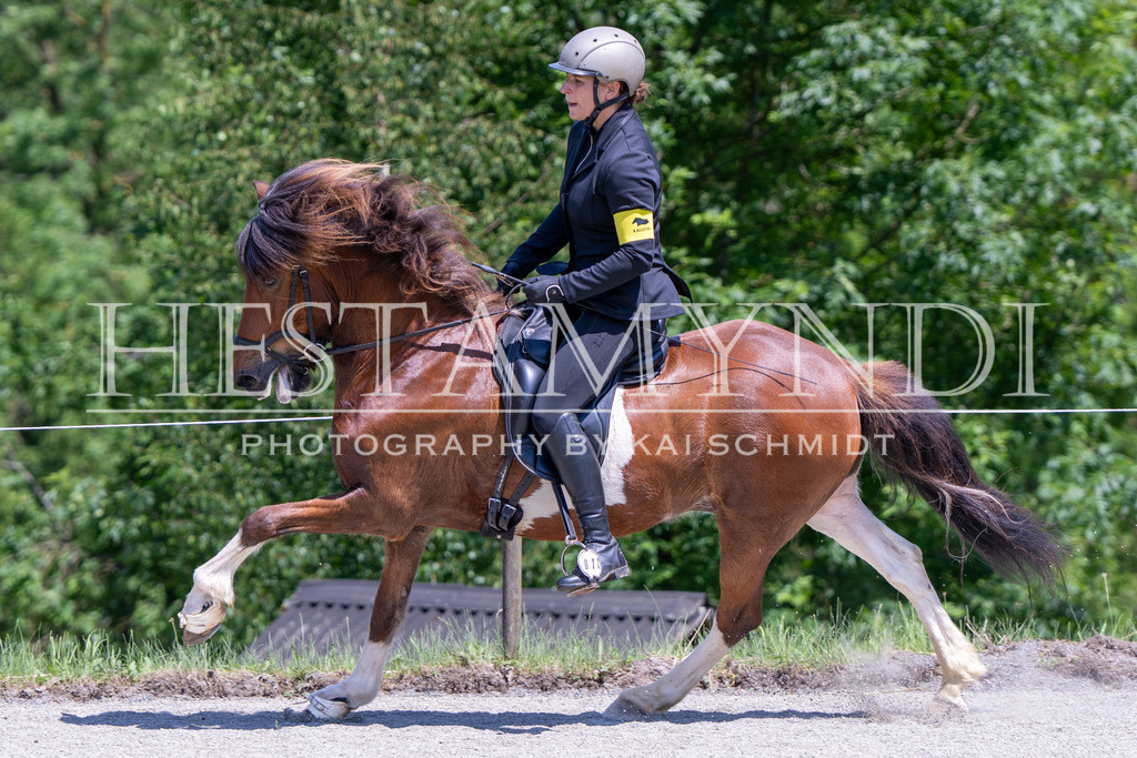 KAI03390 | Ihr sucht einen Fotografen für eure nächste OSI? Ich begleite auch euer Turnier für Islandpferde fotografisch.  - Realisiert mit Pictrs.com