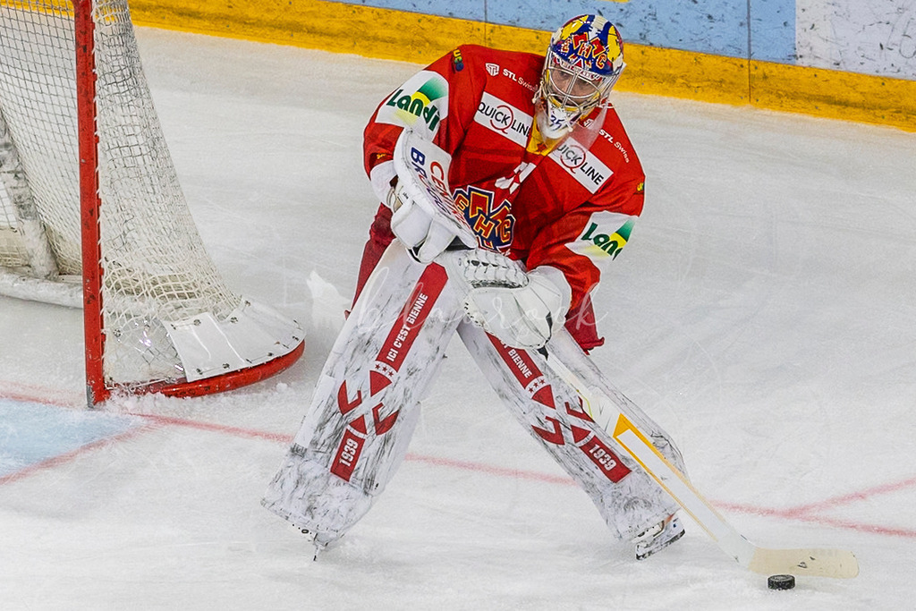 EHCB vs EVZ 20260227_WB-7261-2 | Sportbilder, Sportfotograf, Hochzeits- und Eventfotografin, Flugshows, Portraits und Tiershooting, Aviation, Downhill, Nationalleague, Swissleague, International