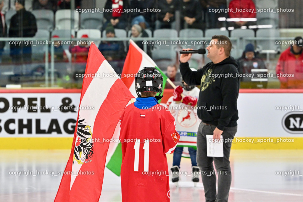 Österreich vs. Ungarn 14.12.2023 | Österreich vs. Ungarn 14.12.2023, Österreich vs. Ungarn  am 14.12.2023 in Klagenfurt (Heidi Horten Arena), Austria, (Photo by Bernd Stefan)