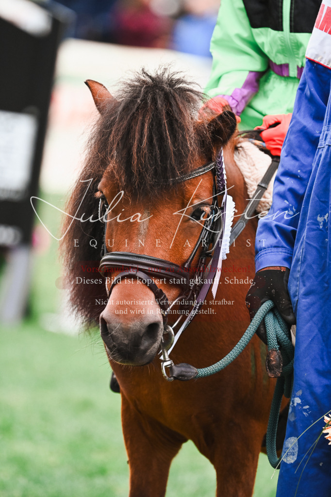 DSC_7707 | Pferde- und Turnierfotografie in Westsachsen. Pferdeportraits, Auftragszeichnungen und intuitive Kunst.
