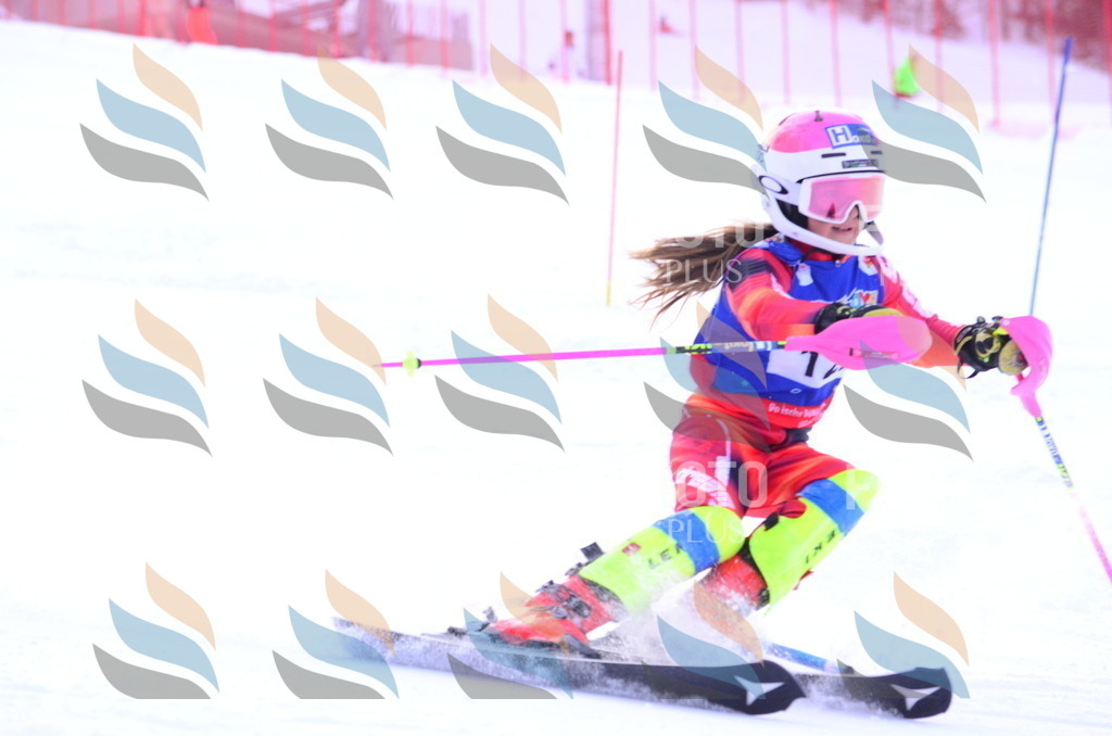 B1736 | holidayphoto