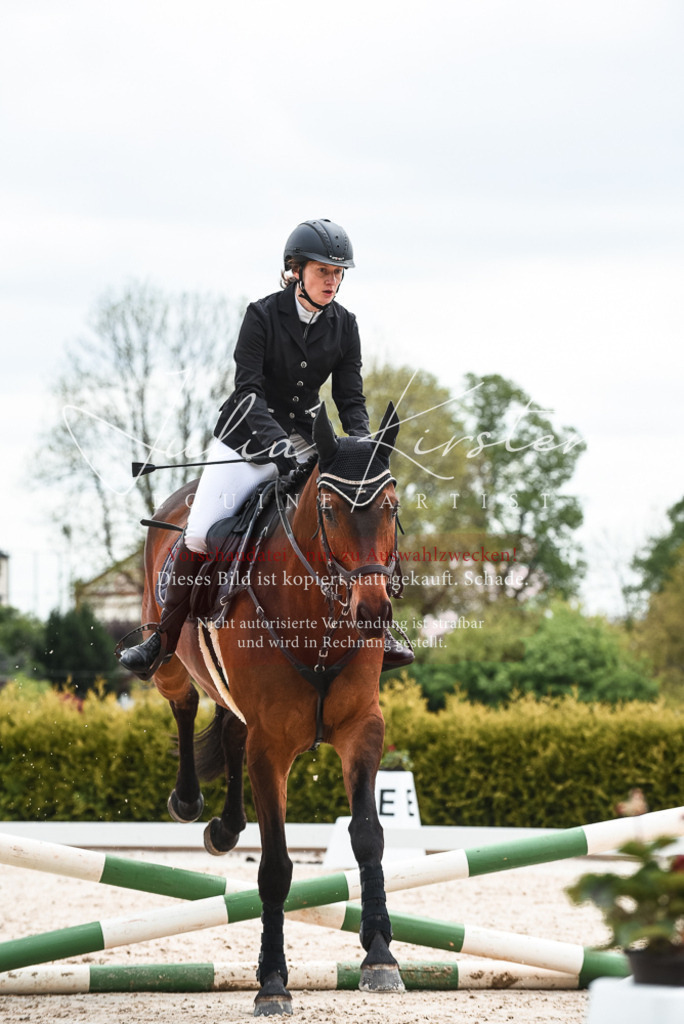 20230518_JK-Röhrsdorf-10-333 | Pferde- und Turnierfotografie in Westsachsen. Pferdeportraits, Auftragszeichnungen und intuitive Kunst.