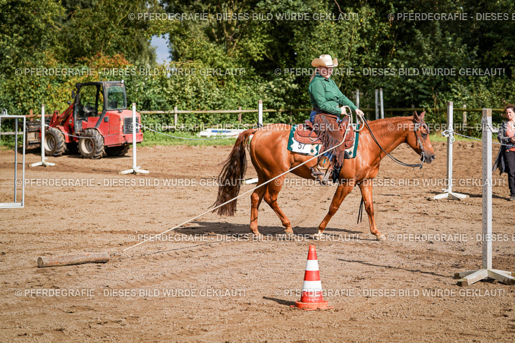 DSC00217 | Pferdegrafie