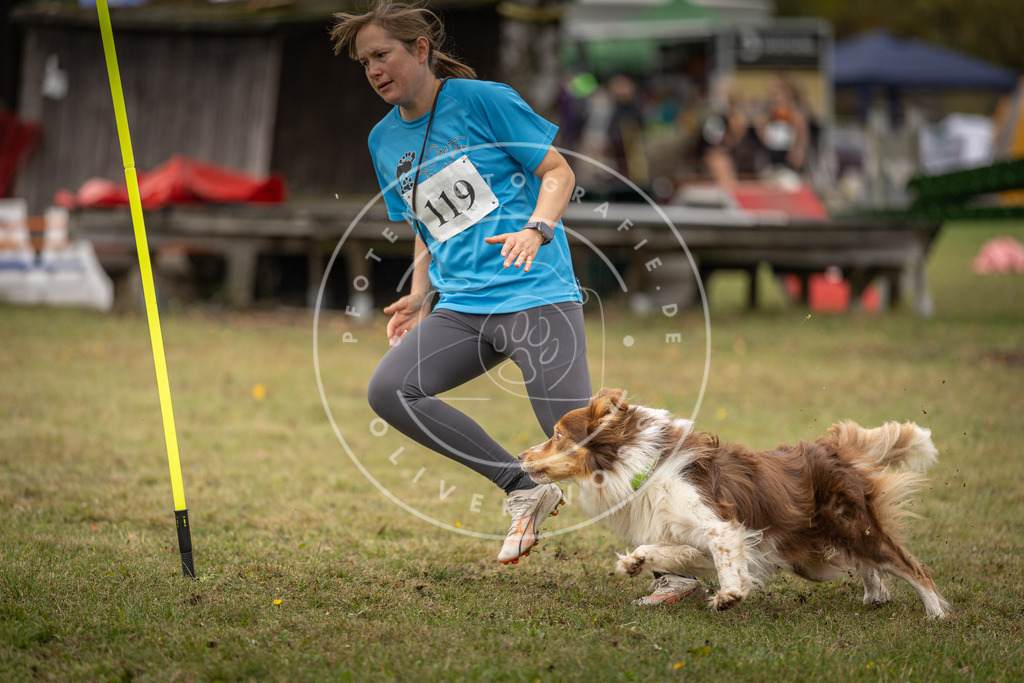 Pfotenfotografie_DV3A7332 | Hundefotografie, Tierfotograf, Pfotenfotografie, Fotoshooting Hund, Hunde Portrait, Hundesport, Hundeportraits, Heideshooting, Hunde, Sportfotograf, Hundefotograf, Turnierhundsport, THS,  - Realisiert mit Pictrs.com
