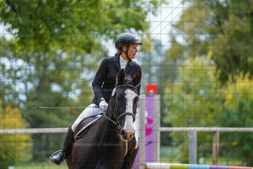 20231008-SN_01039 | Professionelle Turnier- und Reitsportfotografie - mit dem Finger am Auslöser. Pferdebilder aus dem Reitsport von den Turnierfotografen  Bayern , Pferdefotograf Bayern, Pferdeshooting Turnierbilder, Hochzeitsfotograf, Eventfotograf, Hochzeitsbilder