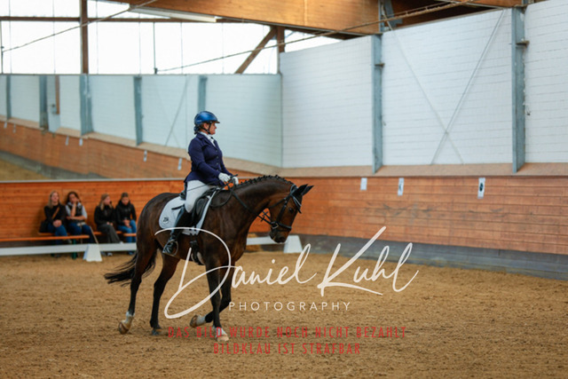 _62_4439 | Turniersportfotografie; Pferdefotografie; Dressurfotografie