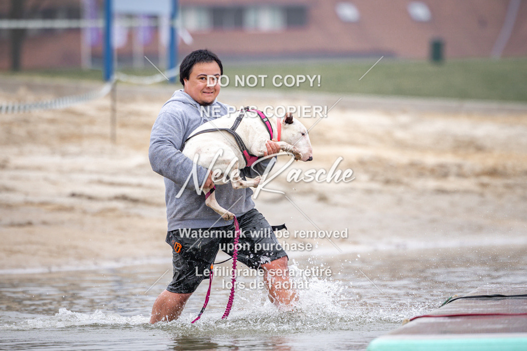 nelerasche_Hulsbeek_Sa0845-1030_398 | nelerasche