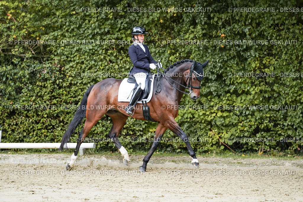 DSC06402 | Pferdegrafie