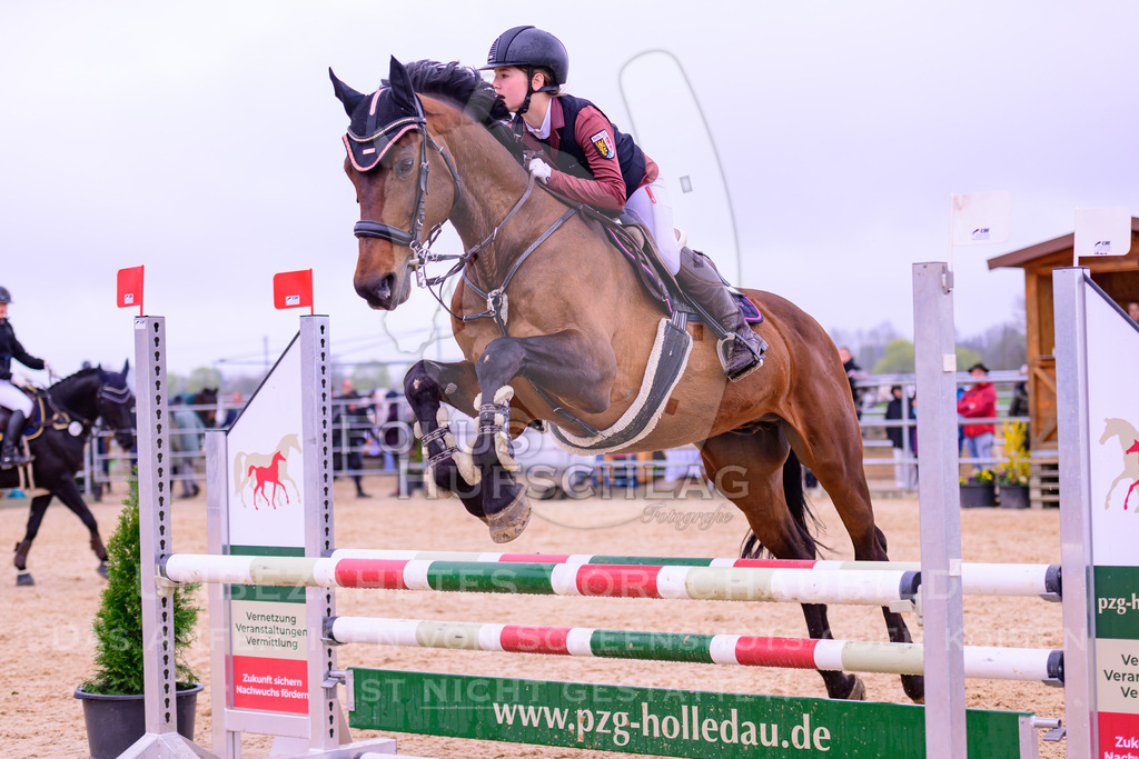 12042026-Mammendorf-Prfg38-0694 | Fokus Hufschlag Fotografie - Realisiert mit Pictrs.com