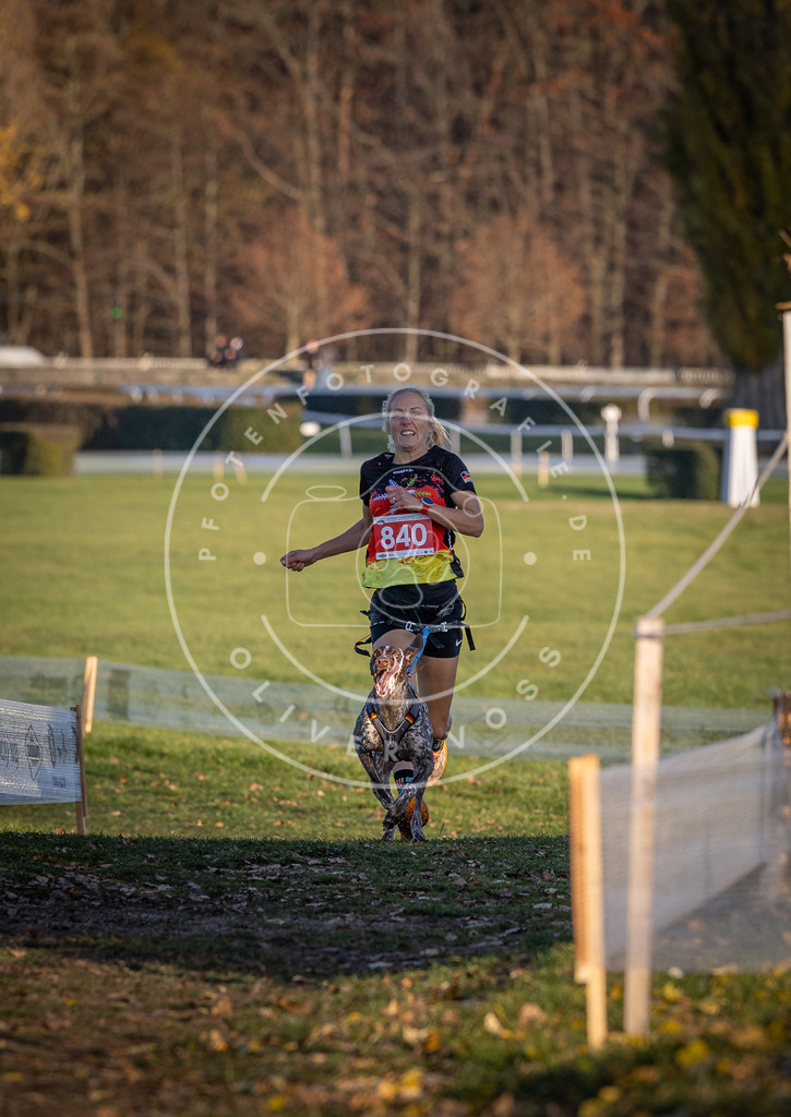 CaniXpix_DV3A3595 | Hundefotografie, Tierfotograf, Pfotenfotografie, Fotoshooting Hund, Hunde Portrait, Hundesport, Hundeportraits, Heideshooting, Hunde, Sportfotograf, Hundefotograf, Turnierhundsport, THS,  - Realisiert mit Pictrs.com