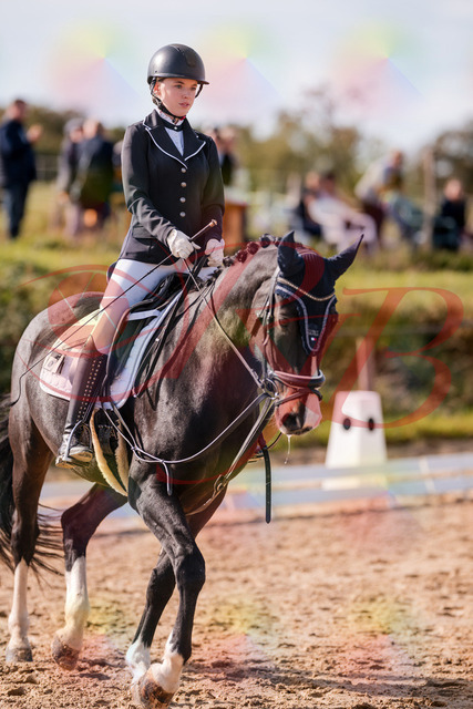 2026_10_03_Siefer-Hof_121342_Z81_14453586 | Professionelle Reitsport-, Turnier- und Eventfotografie von Robert Broda. Galerien mit ausgewählten und bearbeiteten Bildern direkt online ansehen und bestellen.