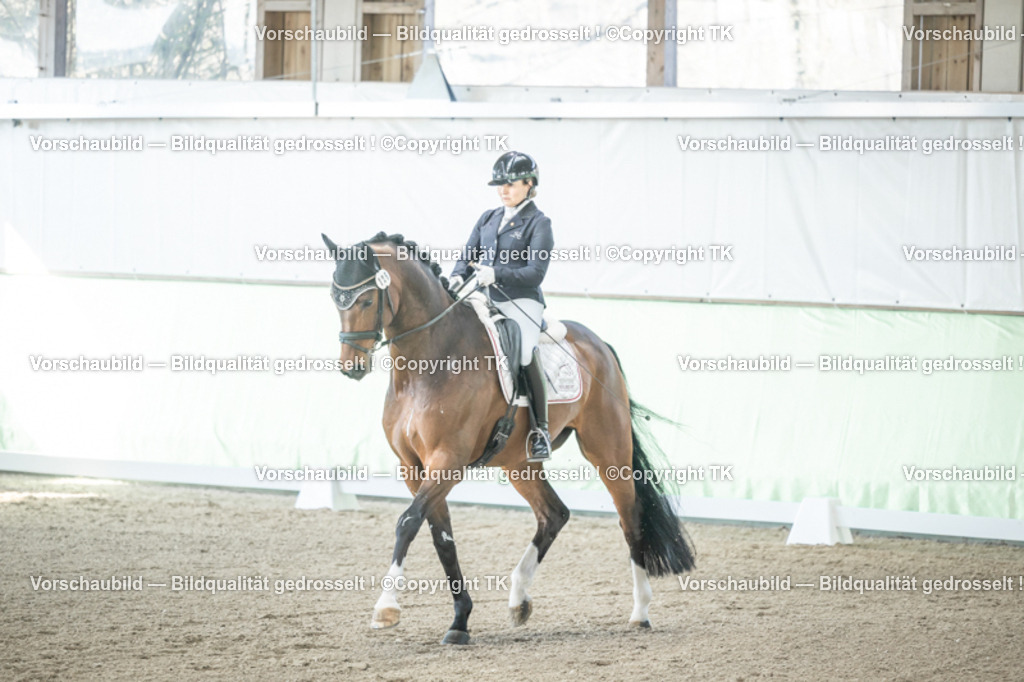 _D5A0762 | Emotionale Pferde- & People-Fotografie rund um Heidelberg, Leimen & Umgebung. Natürliche Fotos von Pferd, Mensch & Familie. Jetzt Termin sichern!