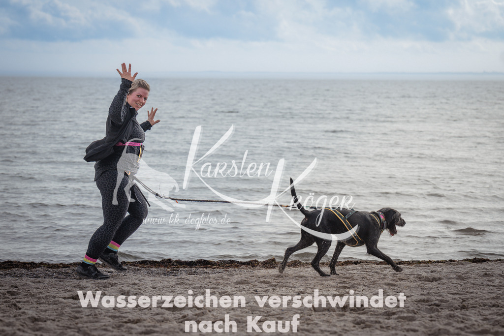1225_ZZ96486 | kk-dogfotos