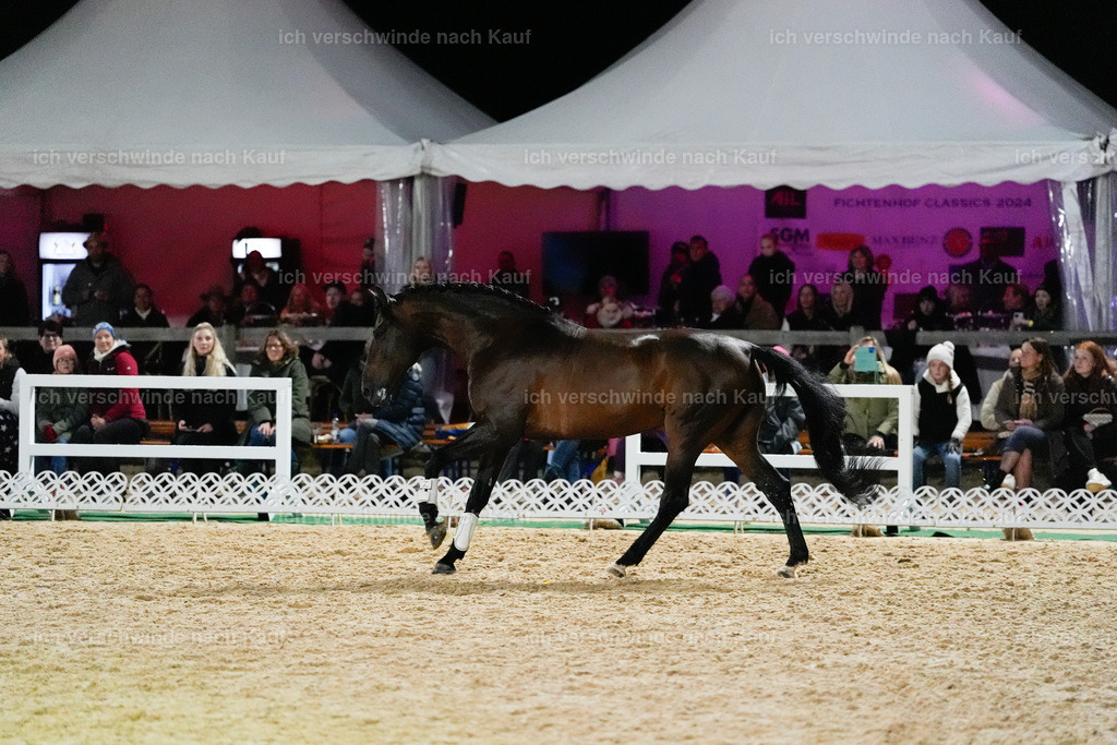 FHClassics-394 | working equitationturnier fotograf videograf stoibphotography marixx film working equitation deutschland reitsport turnierfotografie eventfotografie equestrian events