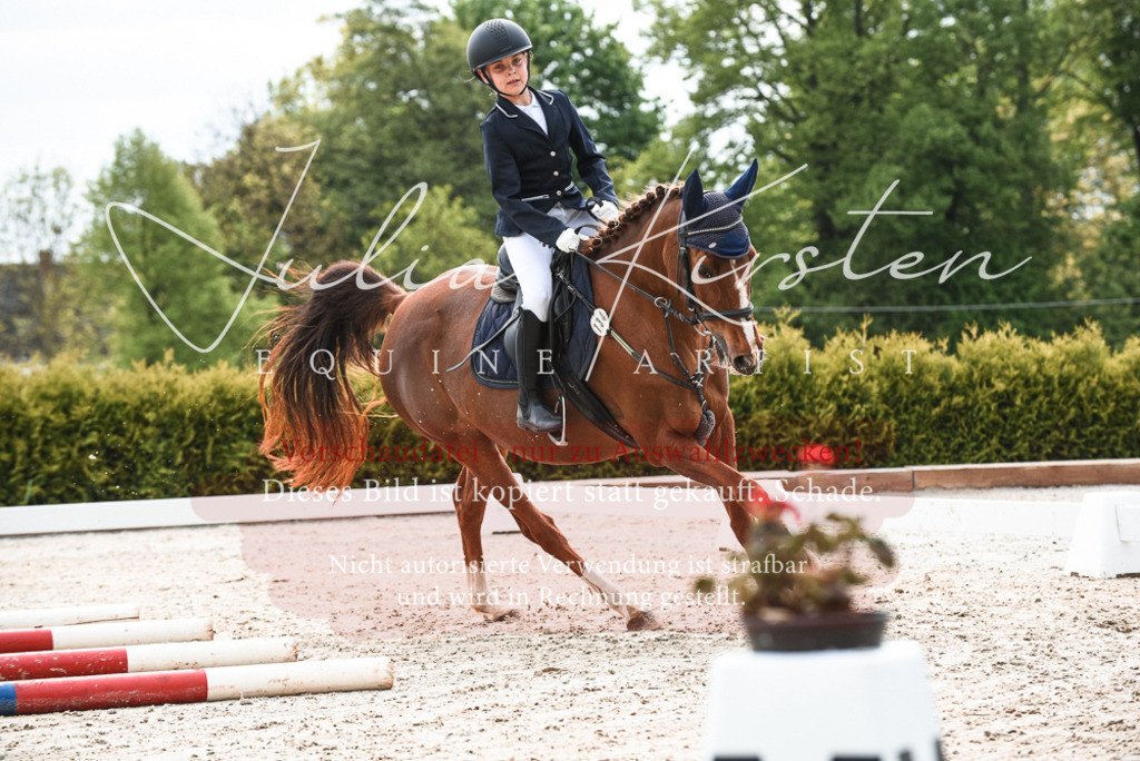 20230518_JK-Röhrsdorf-10-038 | Pferde- und Turnierfotografie in Westsachsen. Pferdeportraits, Auftragszeichnungen und intuitive Kunst.