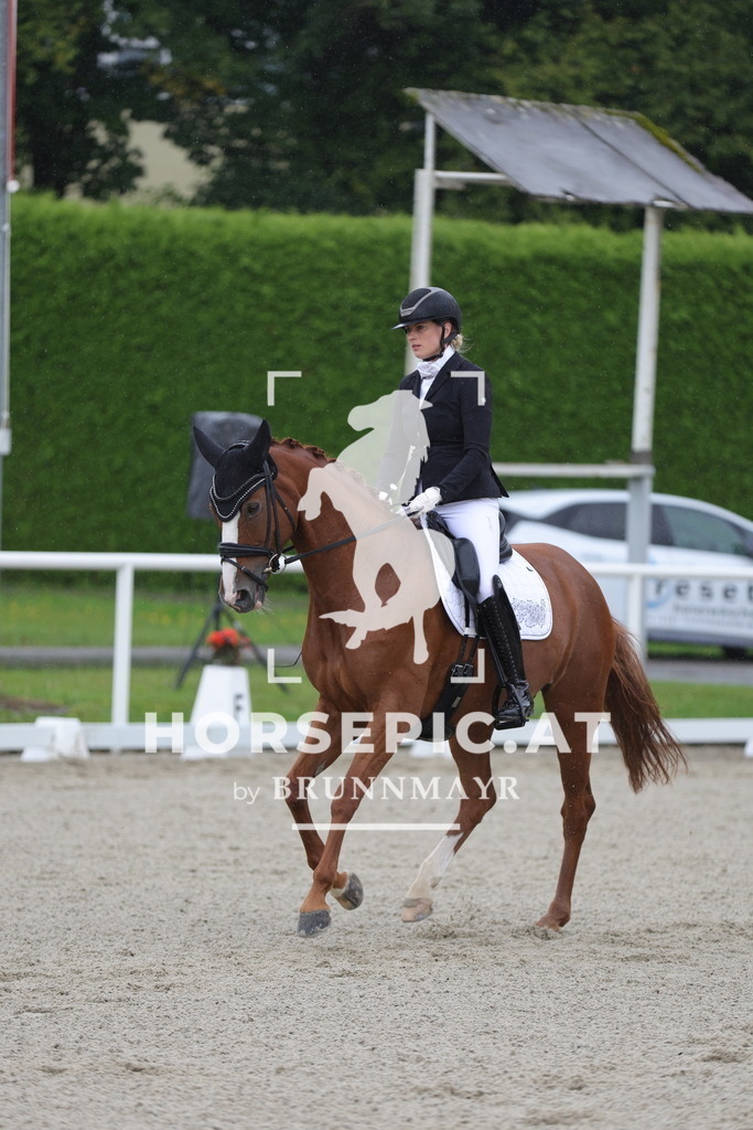 0P6A0169 | Willkommen bei Brunnmayr - Design & Fotografie – Ihrem Spezialisten für Reitturniere und Pferdeveranstaltungen in Oberösterreich, Salzburg und Bayern! Seit über 17 Jahren sind wir leidenschaftlich dabei.