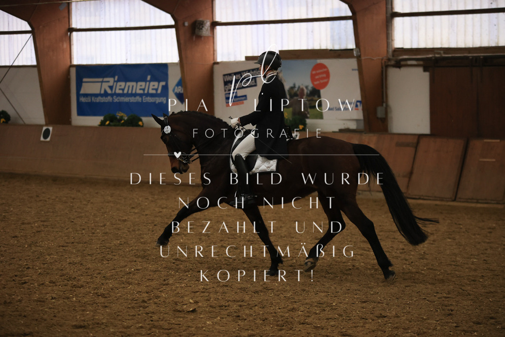 IMGT6148 | pl-fotografie