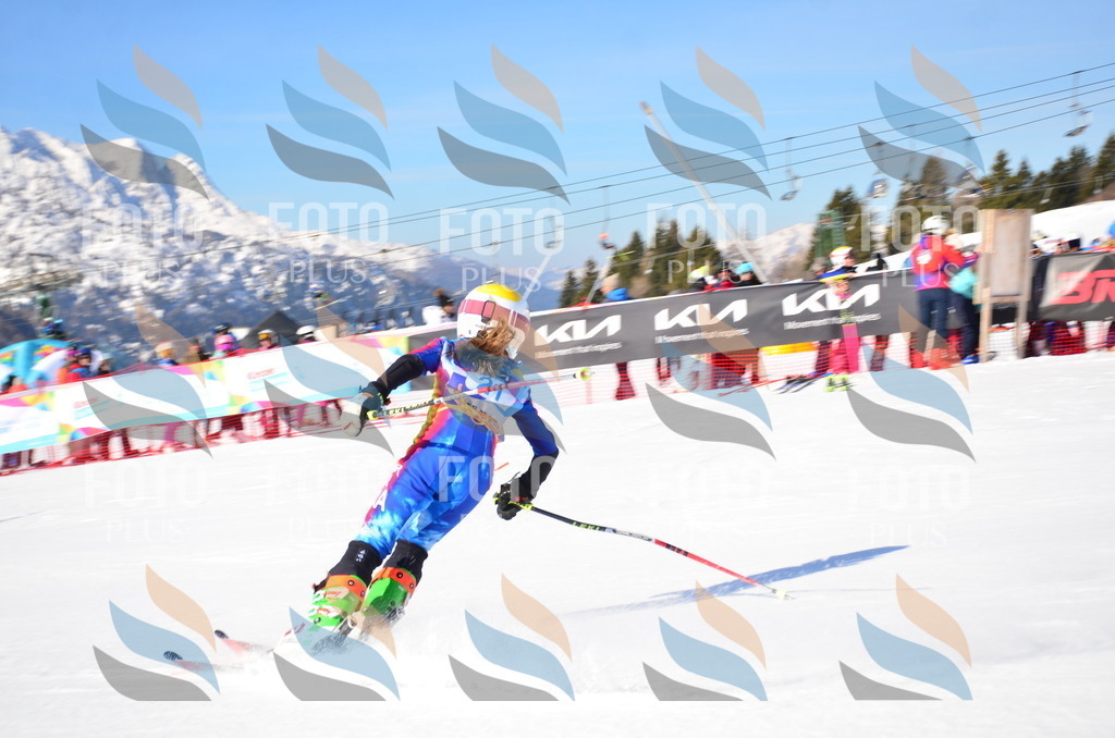 VR4_8500 | holidayphoto