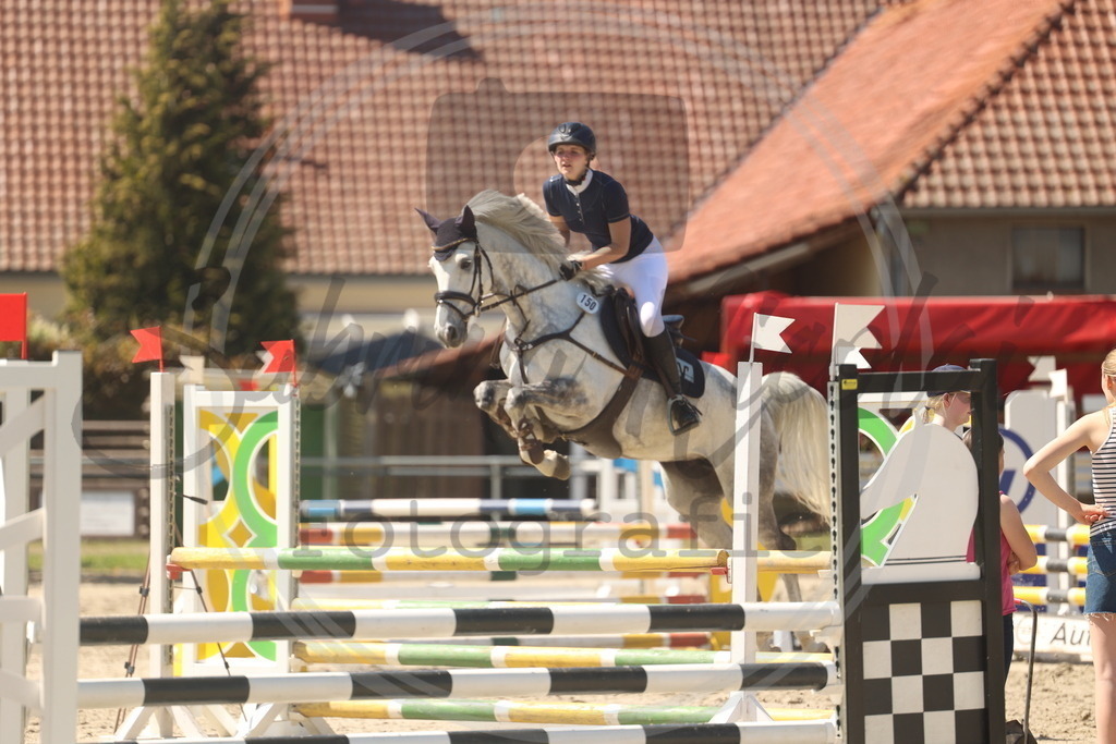 994A5830 | sabrinanicolaifotografie - Realisiert mit Pictrs.com