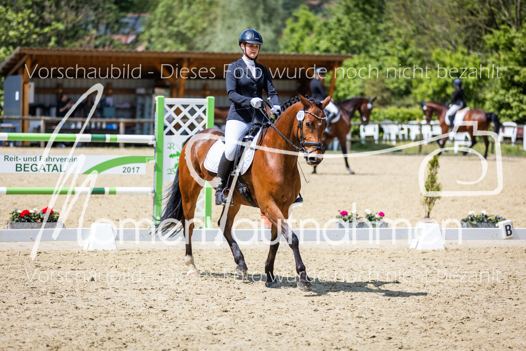 Donop24-EDre-006 | MomenTaufnahmen Pferdesportfotos