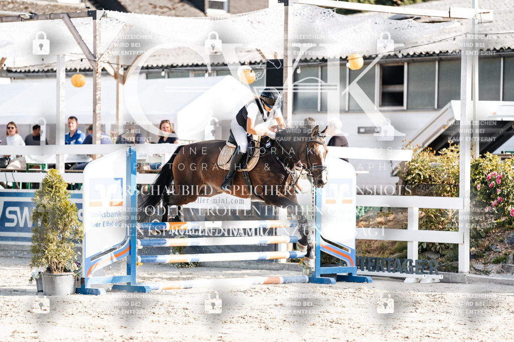 CK909519 | Turnierfotografie Pferdefotografie Trier Rheinland-Pfalz Pferdesport Reitsport Tierfotografie Sportfotografie Pferdevideo Pferdevideografie Equestrianvideography equestrianphotography  - Realisiert mit Pictrs.com