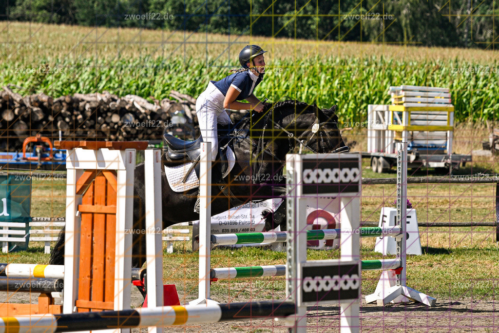 30 Jahre RFV Pulsnitz e.V., Pulsnitz am 09.08.2026 | Zur 28. breitensportlichen Veranstaltung des RFV Pulsnitz e.V. fanden verschiedene Wettbewerbe in nahezu allen Disziplinen des Pferdesport statt. - 06 Standard-Spring-Wettbewerb - Realisiert mit Pictrs.com