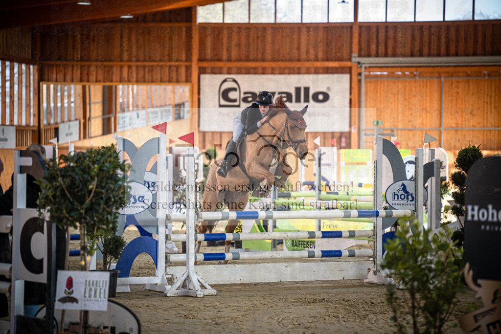 DOS_0667 | Entdecke hochwertige Reitturnierfotos von Foto Oger. Professionell, emotional und authentisch – jetzt Lieblingsmomente im Shop bestellen.Deutschlandweite Turnierfotografie. - Realisiert mit Pictrs.com