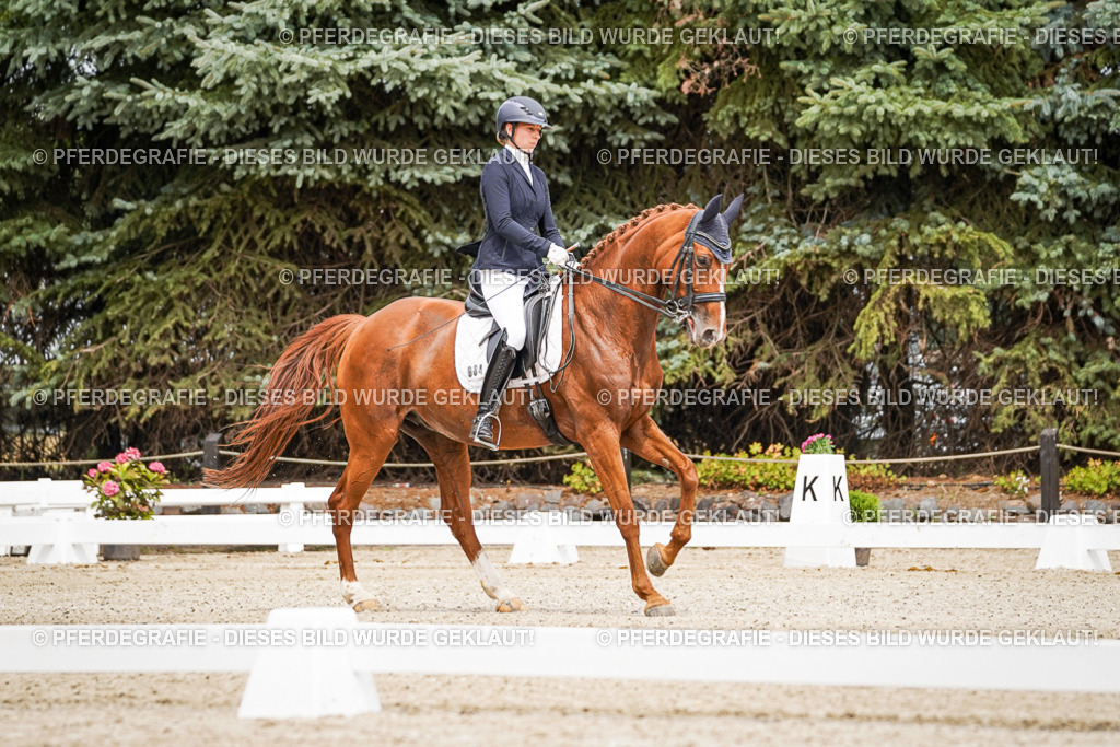 DSC04706 | Pferdegrafie