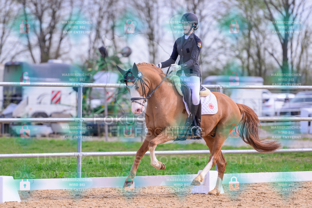09042026-Mammendorf-Prfg01-0309 | Fokus Hufschlag Fotografie - Realisiert mit Pictrs.com