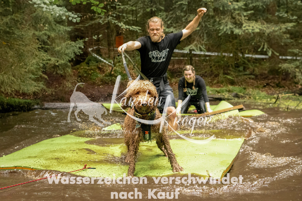 1217_ZZ93692-Bearbeitet | kk-dogfotos
