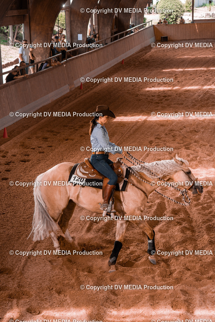 NE200975 | dv-media-shop - Realisiert mit Pictrs.com