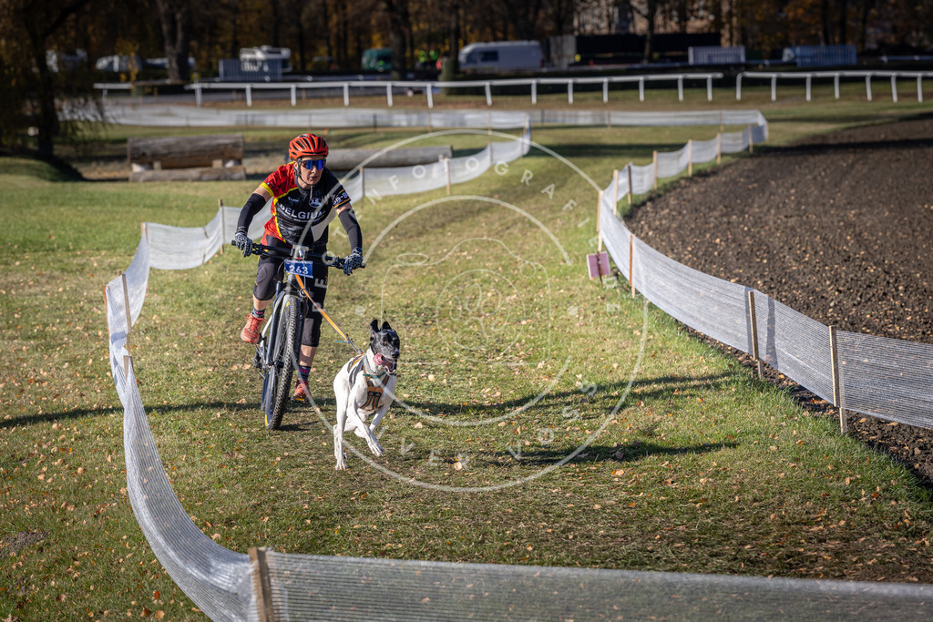CaniXpix_DV3A4948 | Hundefotografie, Tierfotograf, Pfotenfotografie, Fotoshooting Hund, Hunde Portrait, Hundesport, Hundeportraits, Heideshooting, Hunde, Sportfotograf, Hundefotograf, Turnierhundsport, THS,  - Realisiert mit Pictrs.com