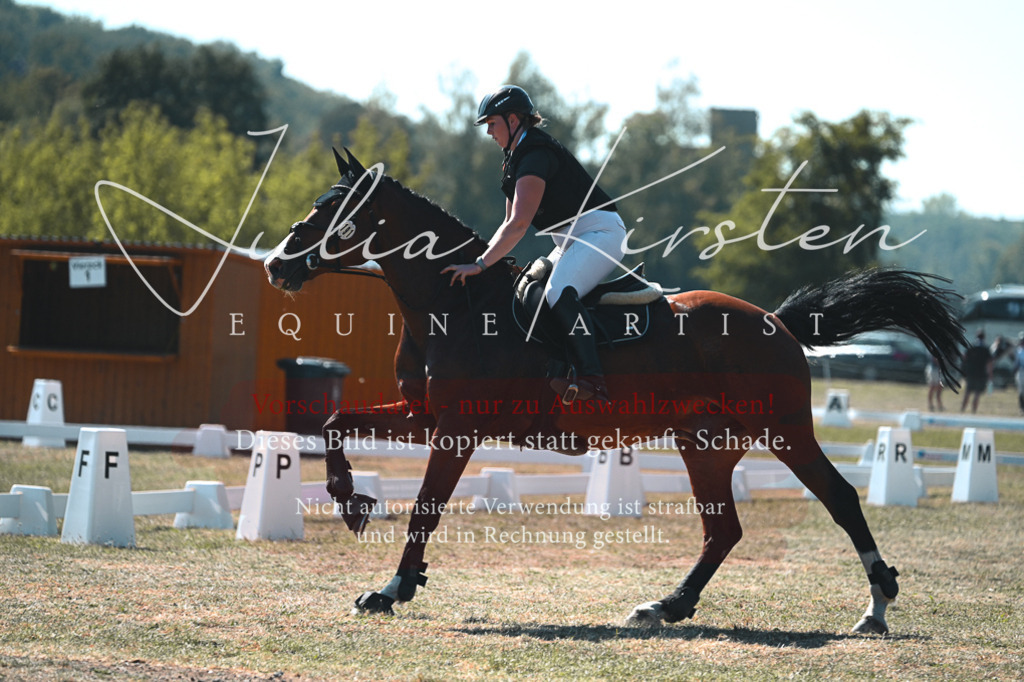 DSC_8124 | Pferde- und Turnierfotografie in Westsachsen. Pferdeportraits, Auftragszeichnungen und intuitive Kunst.