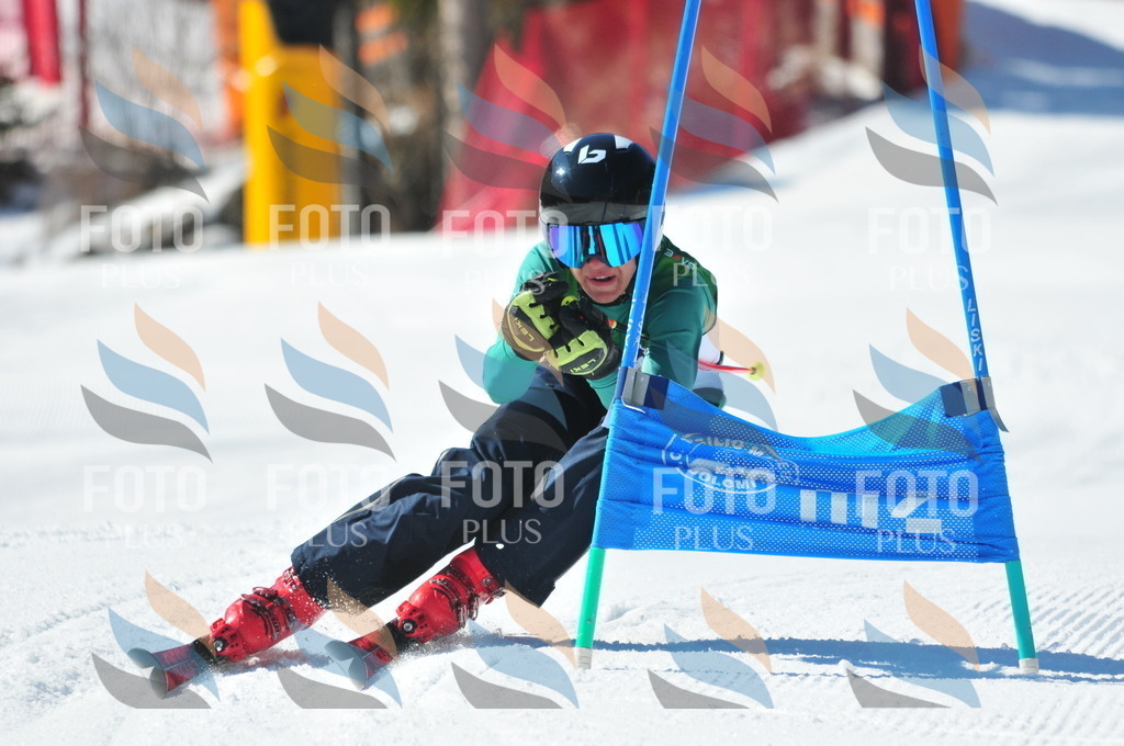 C3463 | holidayphoto