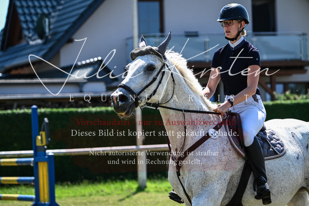 DSC_1090 | Pferde- und Turnierfotografie in Westsachsen. Pferdeportraits, Auftragszeichnungen und intuitive Kunst.