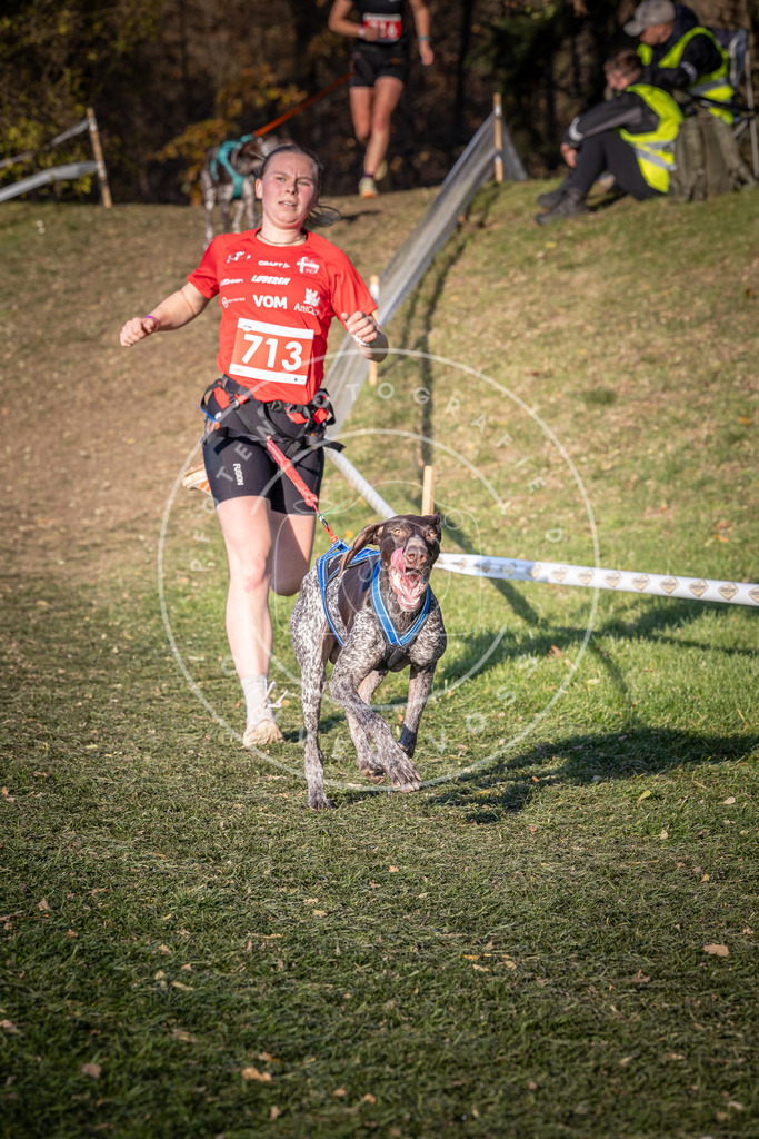 CaniXpix_0L8A9634 | Hundefotografie, Tierfotograf, Pfotenfotografie, Fotoshooting Hund, Hunde Portrait, Hundesport, Hundeportraits, Heideshooting, Hunde, Sportfotograf, Hundefotograf, Turnierhundsport, THS,  - Realisiert mit Pictrs.com