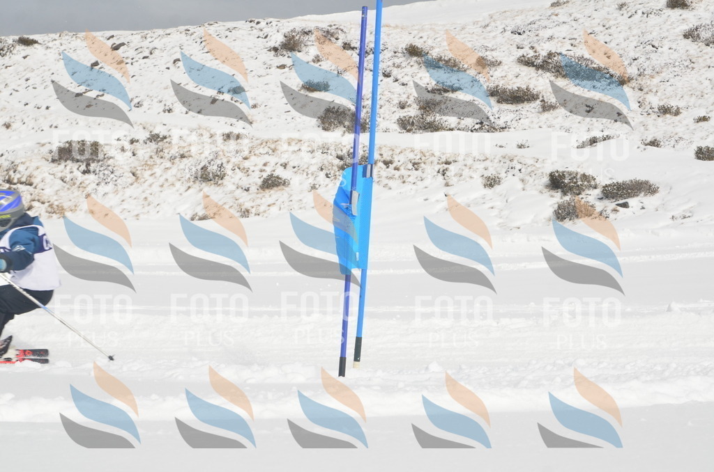 A5060 | holidayphoto