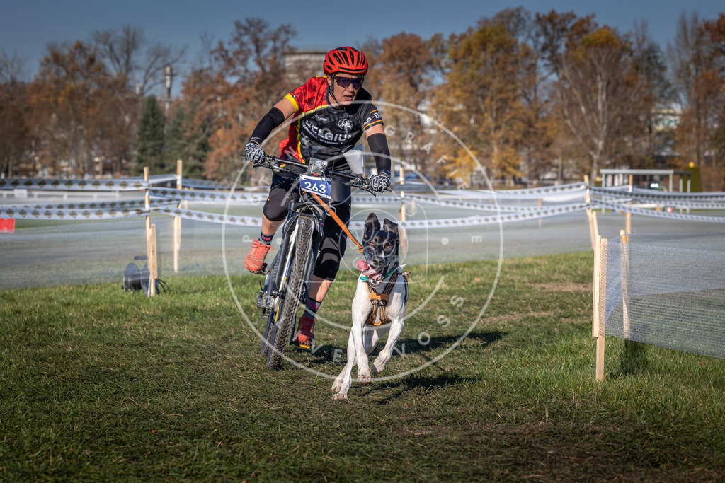 CaniXpix_0L8A5034 | Hundefotografie, Tierfotograf, Pfotenfotografie, Fotoshooting Hund, Hunde Portrait, Hundesport, Hundeportraits, Heideshooting, Hunde, Sportfotograf, Hundefotograf, Turnierhundsport, THS,  - Realisiert mit Pictrs.com